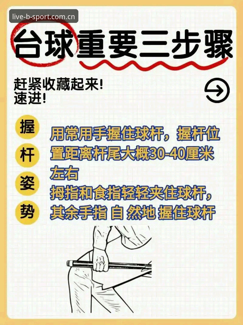 Bsport体育官网使用指南：从新手入门到进阶玩法全解析