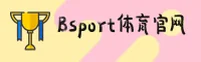 【官方】BSPORT体育APP - 官方登录入口